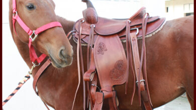 western-saddles-for-sale
